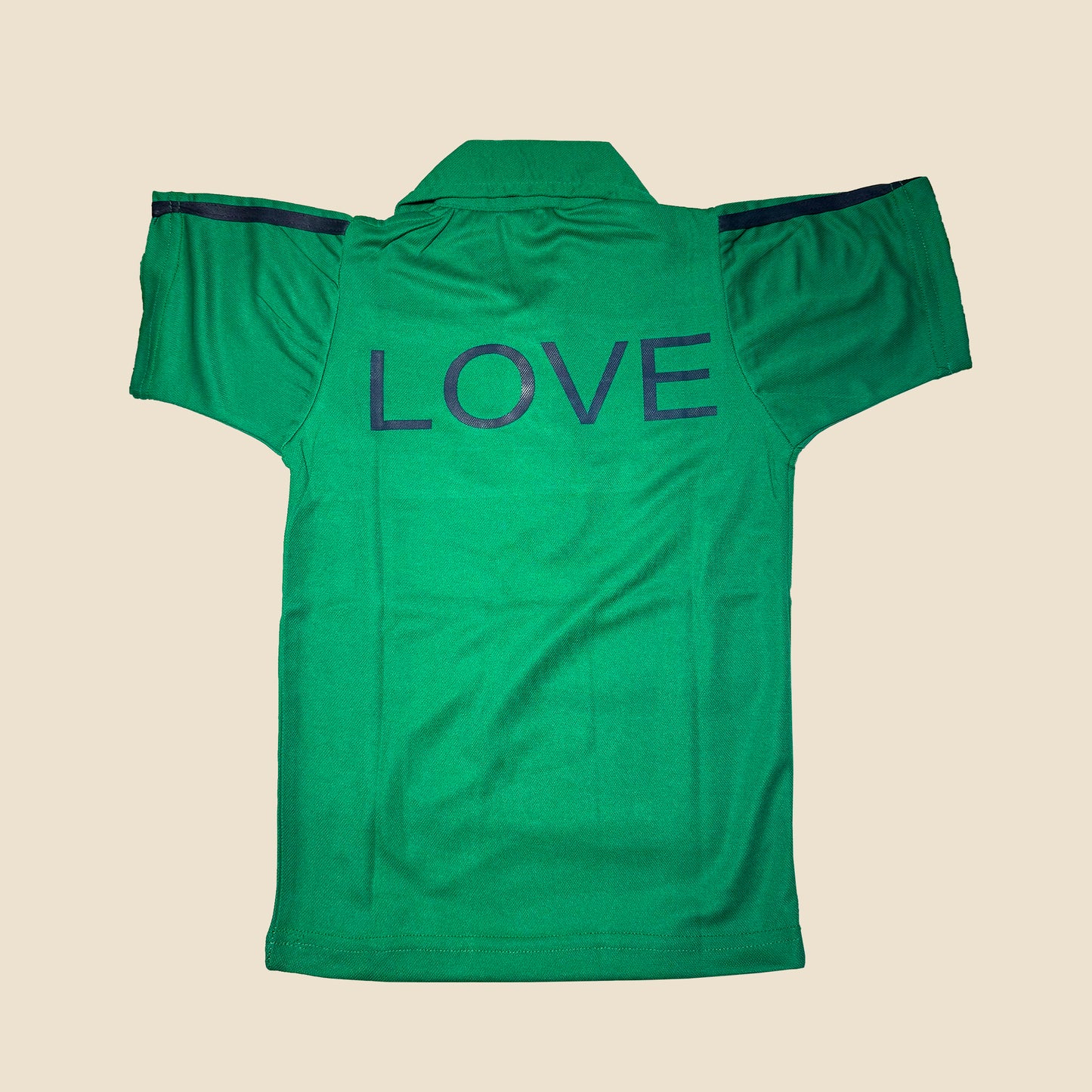 House T-shirt- CMS School